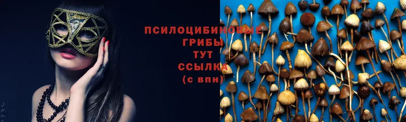 Псилоцибиновые грибы MAGIC MUSHROOMS  дарнет шоп  Инсар 